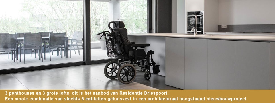 Residentie Driespoort - NOG SLECHTS 1 LOFT TE KOOP